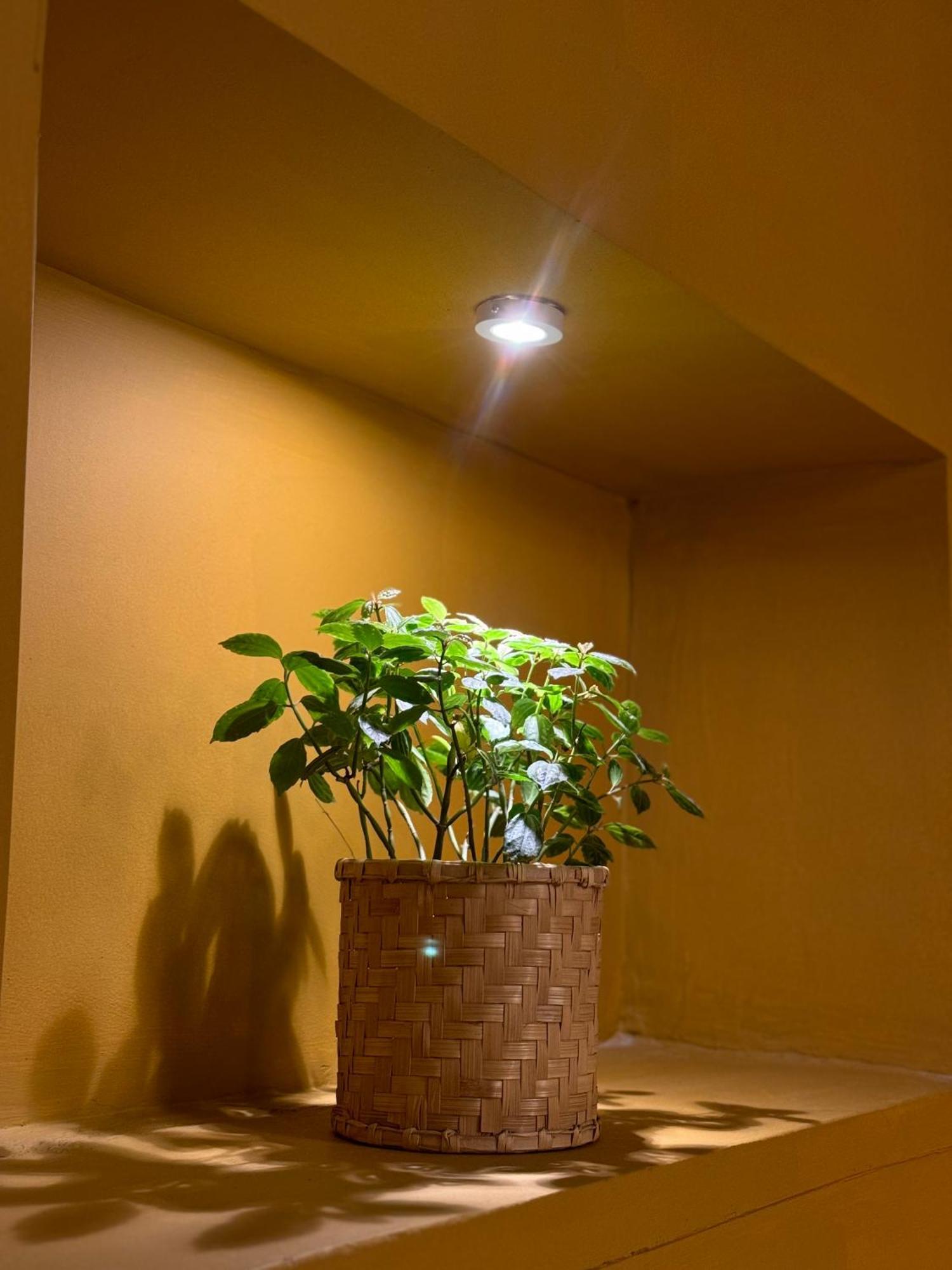 The Melo Pomelo Courtyard. Apartamento Catmandu Exterior foto